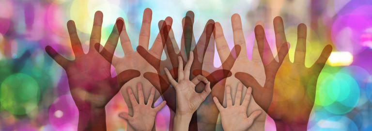 Volunteer